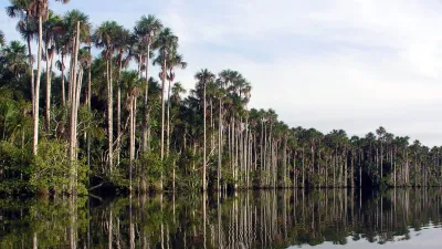 Tambopata